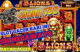 Info Slot 5 Lions Hari Ini Slot Gacor Hari Ini Terbaru Hari Ini