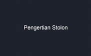 Pengertian Stolon